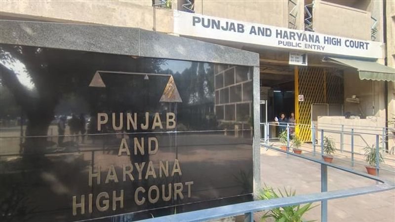 ਸਫ਼ਾਈ ਮੁਲਾਜ਼ਮਾਂ ਦੀ ਹੜਤਾਲ ‘ਤੇ ਹਾਈਕੋਰਟ ਸਖ਼ਤ, ਪੰਜਾਬ ਸਰਕਾਰ ਨੂੰ ESMA ਲਾਗੂ ਕਰਨ ਬਾਰੇ ਸੋਚਣ ਲਈ ਕਿਹਾ